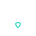 1966-privacy-policy-outline