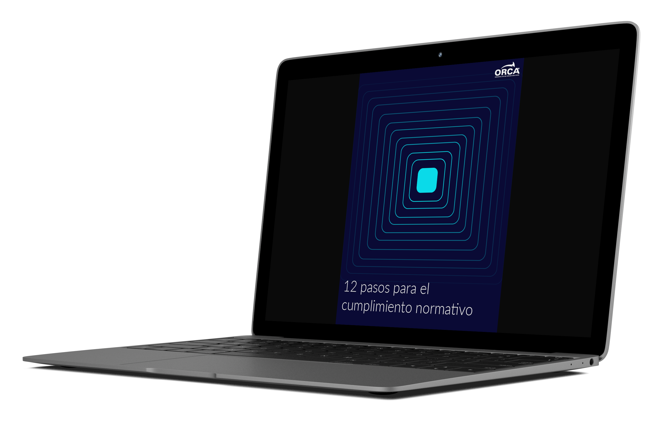 Conoce los 12 pasos para el cumplimiento normativo
